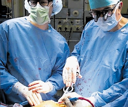 Prof. dr. Tomislav Klokočovnik in dr. Andrea Colli med operacijo