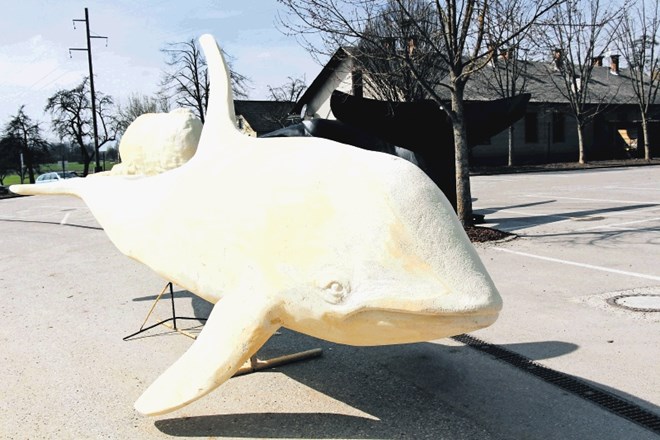 V Arboretumu bodo odprli  razstavo kitov v naravni velikosti
