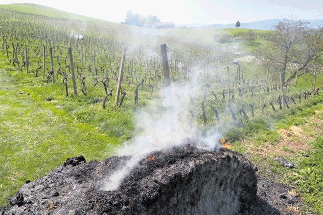 Na vinogradniški posesti Leber na Podigracu so se skušali pozebi zoperstaviti z gorečimi balami. Ali je dimljenje učinkovalo,...