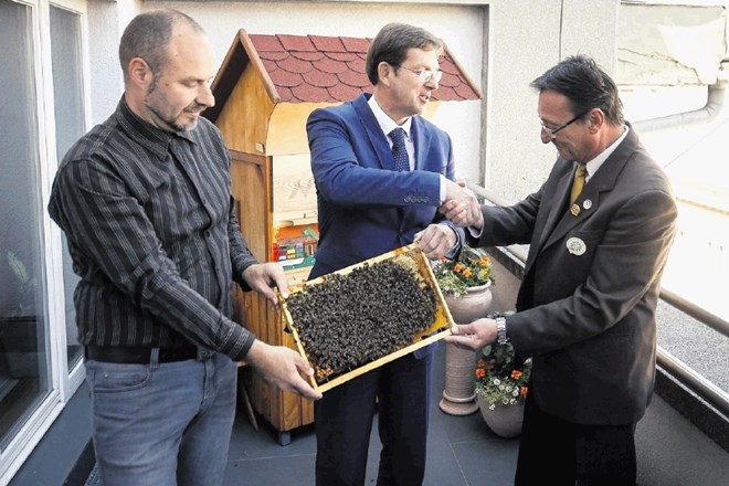 Predsednik vlade Miro Cerar je v stavbo vlade naselil čebele, ki ga s svojo marljivostjo spominjajo na Slovence.