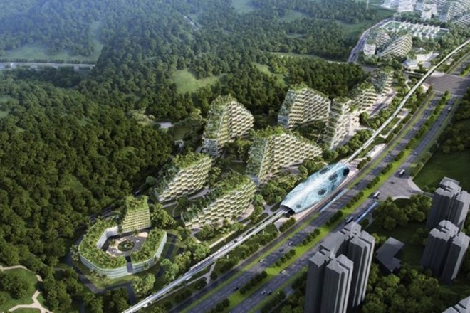 Na Kitajskem začeli z gradnjo prvega  »gozdnega mesta«