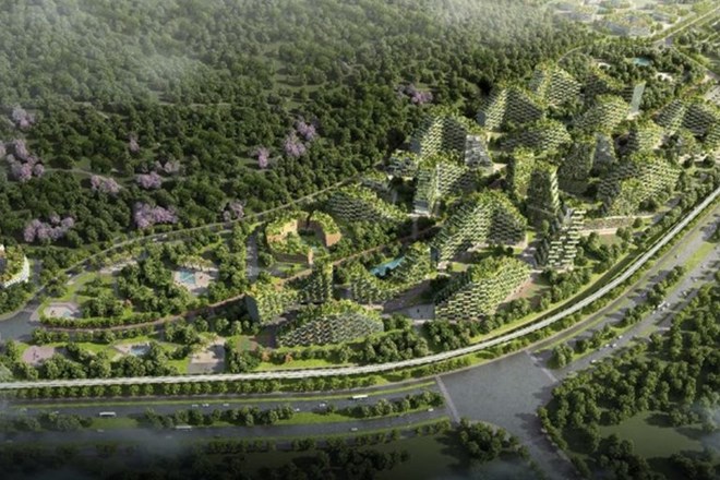 Na Kitajskem začeli z gradnjo prvega  »gozdnega mesta«