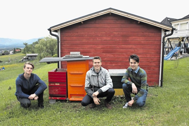 Matic Absec, Žan Hedžet Kostajnšek in Anej Kostrevc, mladi čebelarski podjetniki iz Celja s projektom HiveGuard