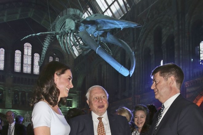 Okostje sinjega kita sta obiskovalcem predstavila vojvodinja Cambriška in sir David Attenborough.