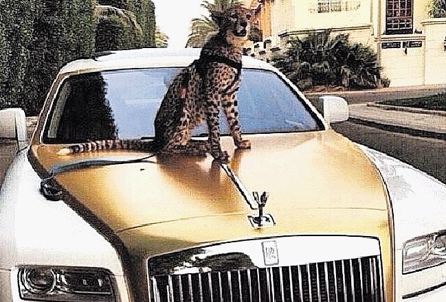 Mladi bogataši na instagramu: gepard na avtu, zlata pištola v žepu
