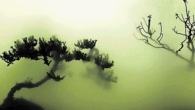 Ustvarjalec Wu Chi Tsung v delu Landscape in the Mist odkriva nove estetske razsežnosti in načine upodabljanja pokrajin...