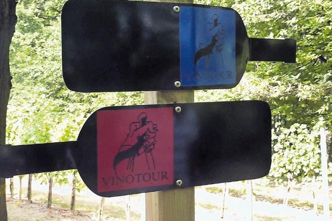 Oznake za pot Vinotour vodijo pohodnike po  treh različno dolgih poteh,  od 11 do 24 kilometrov.
