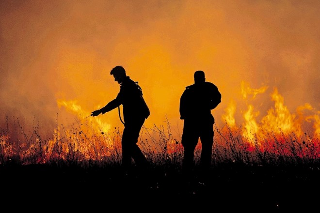 Dalmacija letos v plamenih:  več kot 5000 požarov