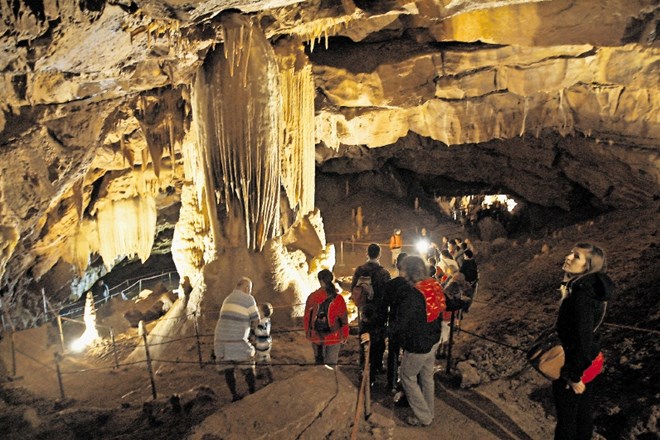 Po Županovi jami je speljanih 600 metrov poti, ki vodijo skozi šest velikih dvoran in mimo številnih brezen, rovov, kapnikov,...
