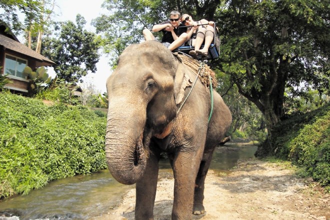 Jahanje na slonu nekje na severu Tajske