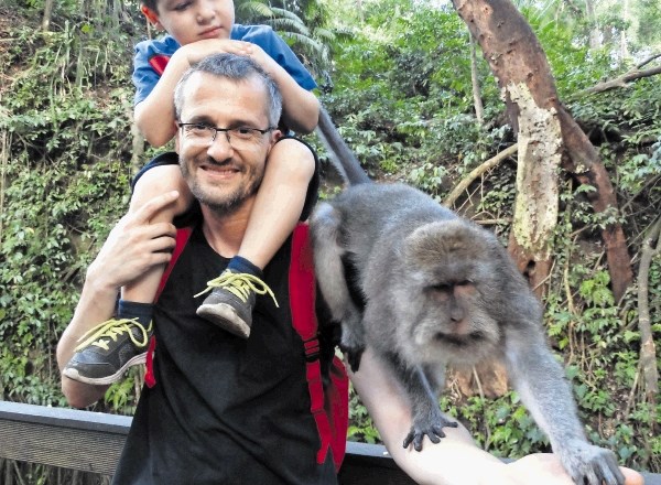Opičji gozd Ubud v Indoneziji
