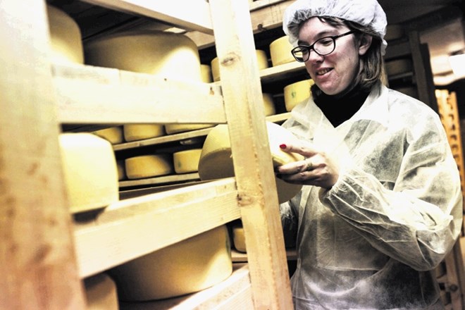 V Planiki štirideset odstotkov mleka ustekleničijo, iz ene tretjine naredijo sir, iz druge pa skuto in fermentirane izdelke.