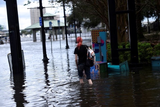 Irma razdejala Florido: otočje Keys še vedno ločeno od celine, aligatorji še »razseljeni«