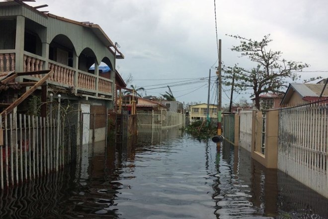 Orkan Maria: elektrike v celoti na Portoriku morda ne bo mogoče vzpostaviti več mesecev