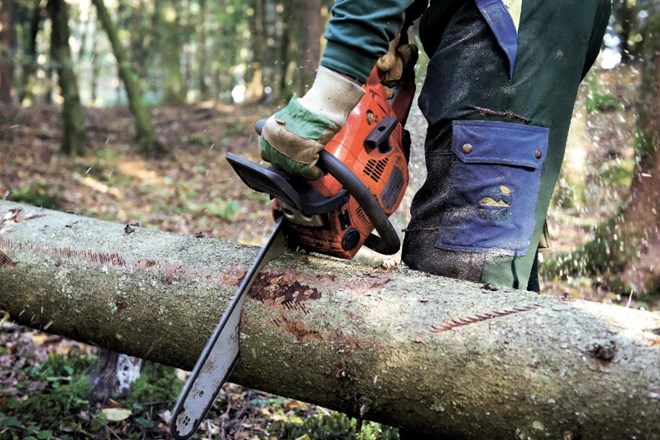 Z 38-centimetrskim mečem je najbolj optimalno delo z drevjem srednje debeline – do 30 centimetrov premera.