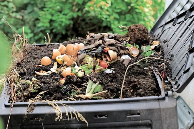 Kakovosten doma pridelan kompost lahko izboljšamo z dodajanjem biogrene.