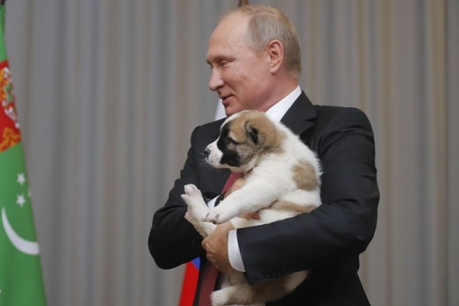 Putin simpatičnega kužka, ki ga je dobil za darilo, močno stisnil in ga poljubil na glavo