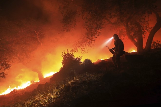Kalifornijski požari sedaj uradno najbolj smrtonosni v zgodovini 
