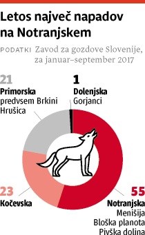 Volkovi napadajo po robu Trnovskega gozda, domačini zahtevajo njihov odstrel