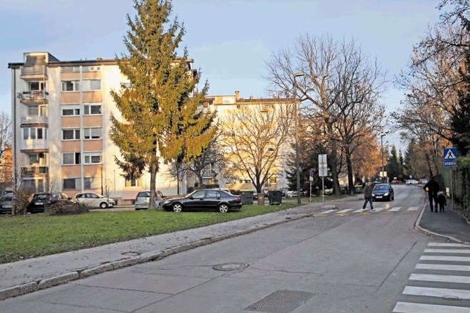 Ob eni strani Tomažičeve ulice stojijo enodružinske hiše, ob drugi bloki, ki preidejo v industrijsko cono.