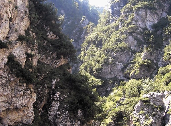 Pot do Male Pišnice je zaprta že od leta 1994, saj je tako odredil javni zavod Triglavski narodni park.