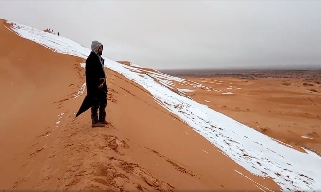 Sneg pobelil sipine v Sahari