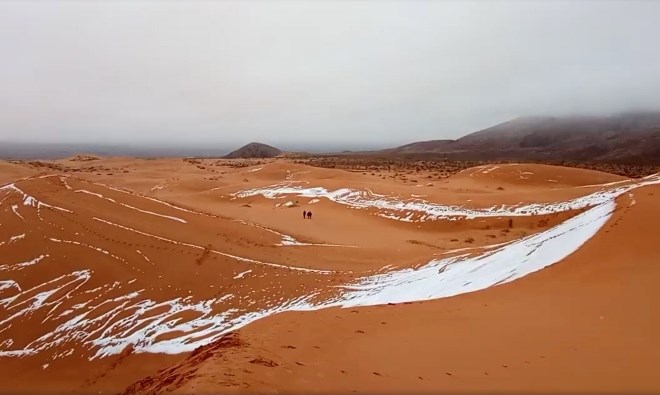 Sneg pobelil sipine v Sahari