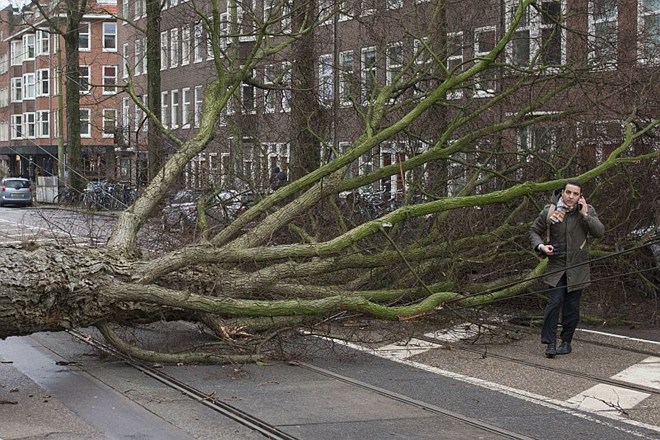 Veter je v Amsterdamu rušil drevesa.