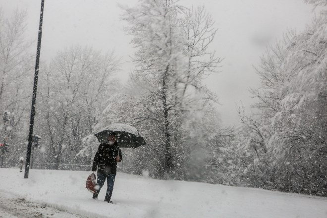Sneg ponoči lomil drevje po vsej državi, ponekod brez elektrike 