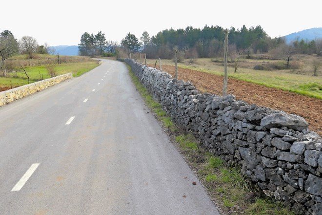 Suhi zidovi so ogroženi del tradicionalne cestne infrastrukture na Krasu.