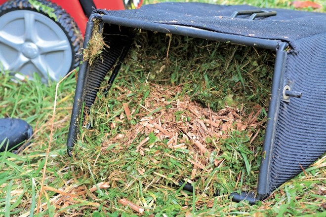 Trava in sekanci, material, ki ga lahko odložite na kompostnik  ali pa uporabite kot zastirko.