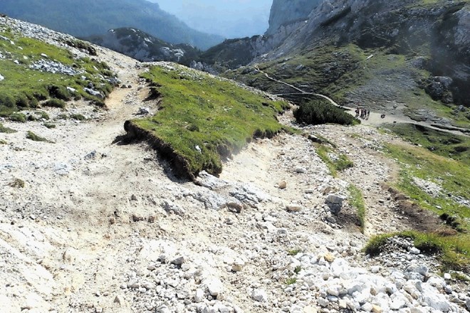 Posledice erozije zaradi uporabe bližnjic na poti s Konjskega sedla na Planiko so vse težje popravljive.