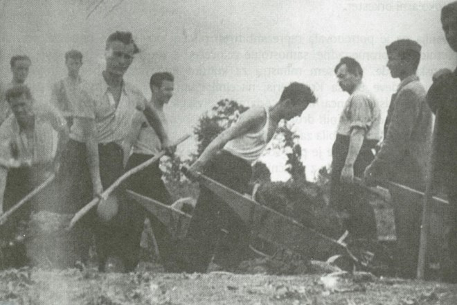 Kljub številnim vajam so godbeniki udarniško poprijeli tudi za lopate (avgust 1949).