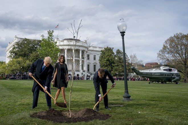 Po prihodu sta se predsednika fotografirala pri hrastu in na sadiko nasula nekaj lopat zemlje.