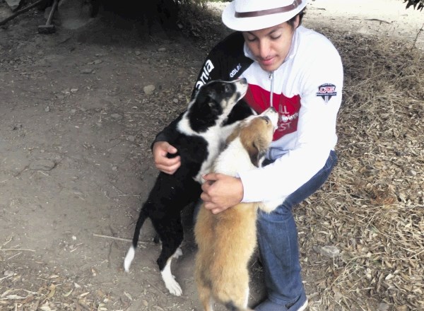 Bivanje v gorskem kampu na Sardiniji so  Žanu popestrili pasji prijatelji.