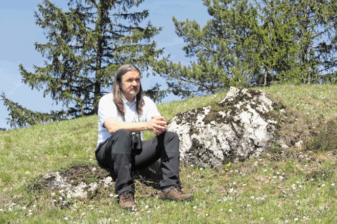 Kot pravi varuh gorske narave Dušan Klenovšek, se clusijev svišč  ne pusti udomačiti, saj na Lovrencu raste na bazičnih tleh...