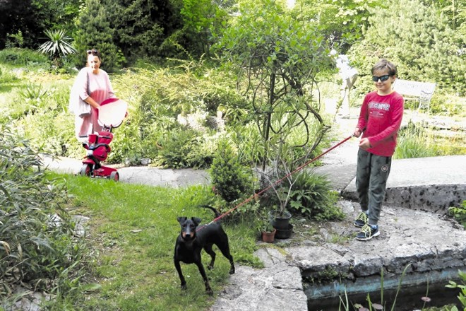 Le malokdo v Kranju ve za botanični vrt,  prijetno zeleno oazo, za vzdrževanje katere bi nujno potrebovali pomoč.