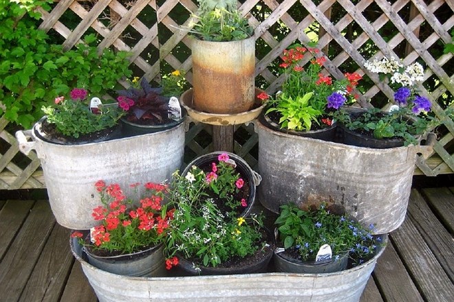 Vrtnarjenje v zabojčkih: cvetje in zelenjava na balkonu, terasi ali okenski polici  