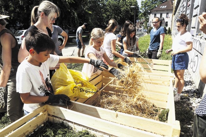 Približno petnajst ljubljanskih osnovnošolcev in dijakov je včeraj pri dijaškem domu Tabor postavilo tri kompostnike in enega...