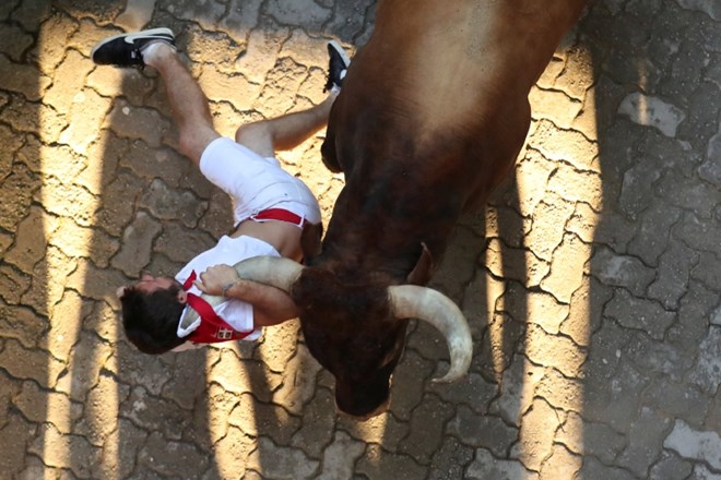 #foto V Španiji tekli pred biki, poškodovanih 42 ljudi
