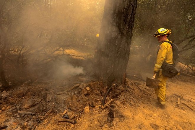 V Kaliforniji v požarih umrlo najmanj šest ljudi