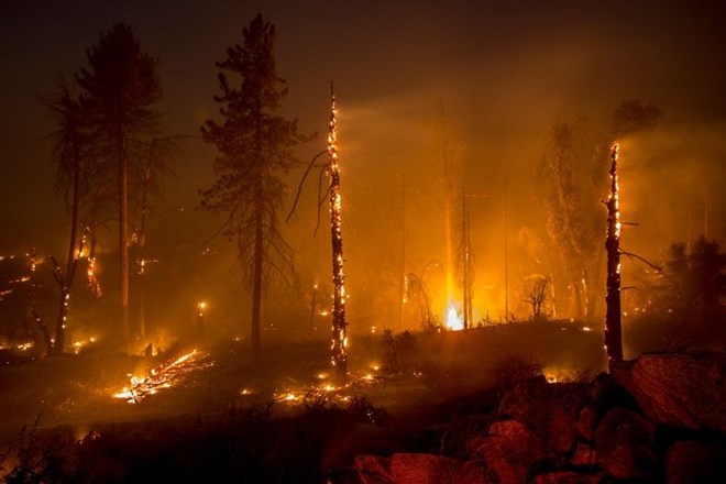 V Kaliforniji v požarih umrlo najmanj šest ljudi