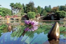 Villa Taranto, Pallanza, jezero Maggiore Giardini Botanici Villa Taranto so botanični vrtovi na zahodni obali jezera Maggiore...