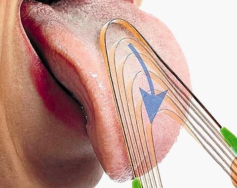 Strgalo za jezik naj bi odstranjevalo bakterije, hkrati pa masiralo notranje organe.