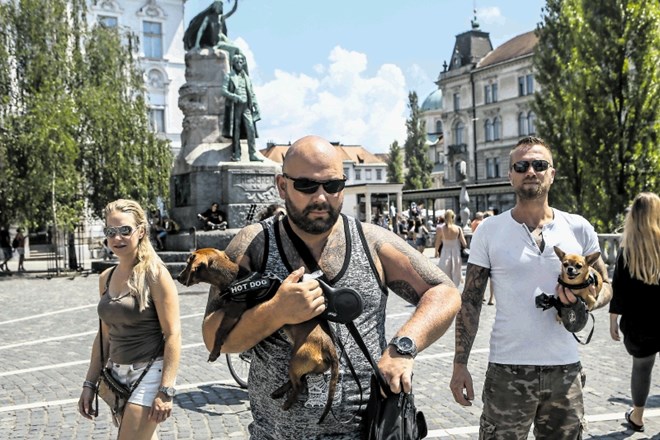 Fotoreportaža: Bela Ljubljana s turisti obdana