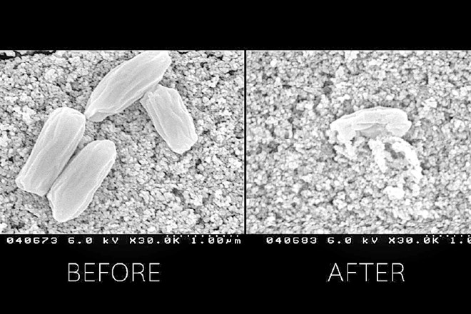 Bakterije pred posegom s čistilnikom molekule (levo) in po njem