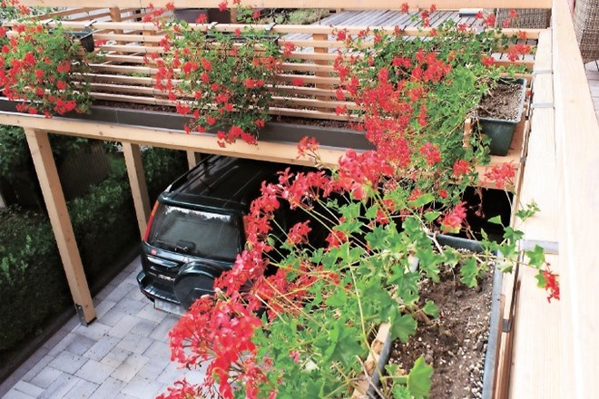Leseni nadstrešek za avtomobila postane sončna terasa za odmerek vitamina D