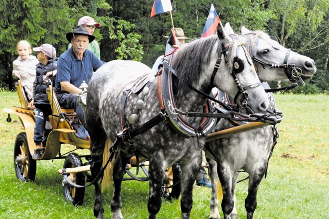 Na Blatnik pri Semiču so konjerejci včeraj pripeljali kakšnih petdeset konj, tudi Milan Žgajnar (na fotografiji) iz Krške...