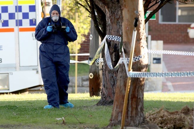 Avstralska policija v hiši odkrila več trupel 