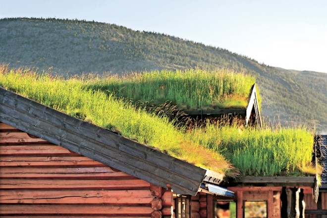 Pozitivnih učinkov zelenih streh je veliko, saj predstavljajo toplotno in zvočno izolacijo prostora, čistijo zrak in krepijo...